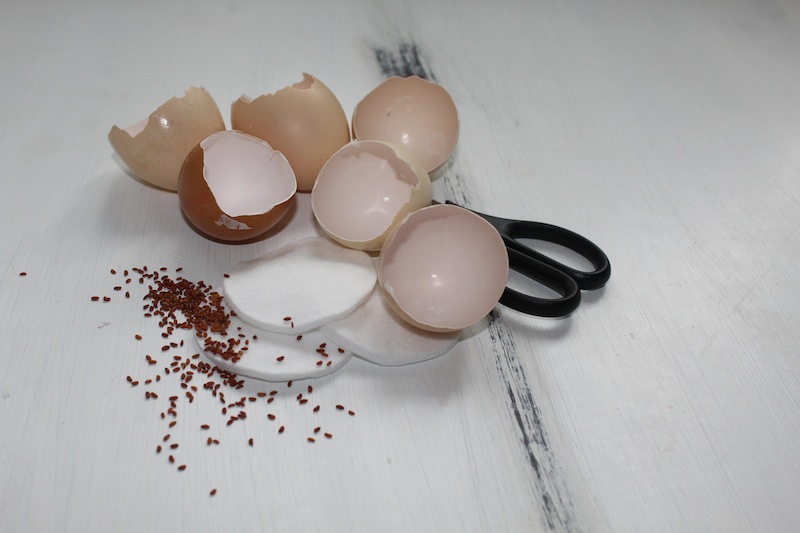 Kresse-Eier Annefaktur.de