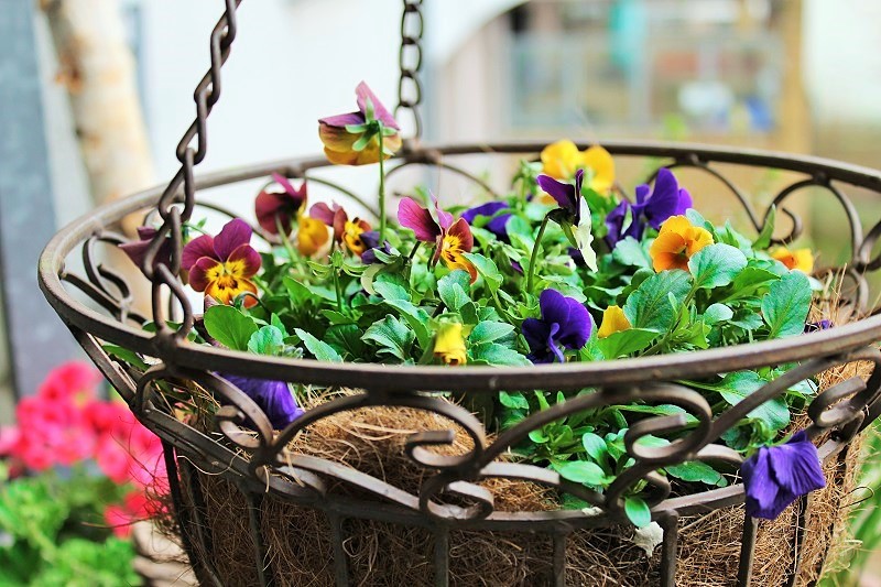 Frühlings-Blumen Balkon-Deko Annefaktur.