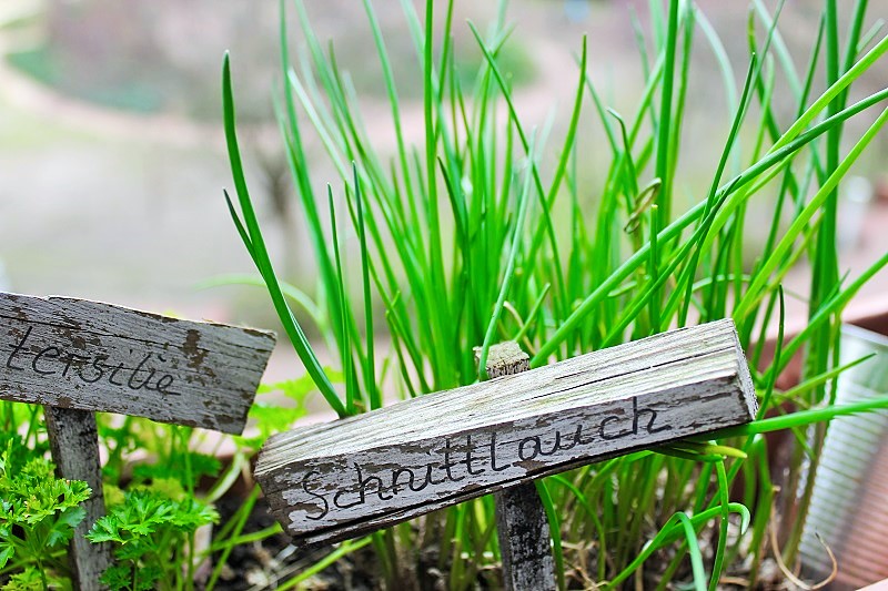 Frühlings-Blumen Balkon-Deko Annefaktur.