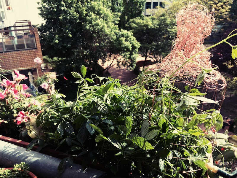 Balkon-Kräutergarten Annefaktur.de