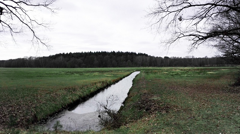 Wochenrückblick Annefaktur.de