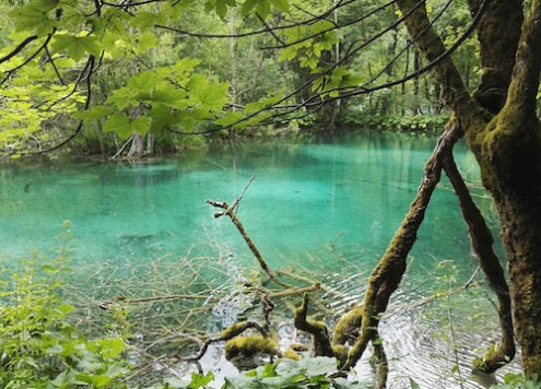 Plitvicer Seen, Kroatien, Urlaub, Travel, Reiseblog, Sommerurlaub 2017, Reisetrends, Annefaktur.de